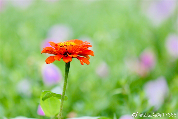 【圖說淮南】——今日芒種，愿你“芒”有所獲，“種”有所得