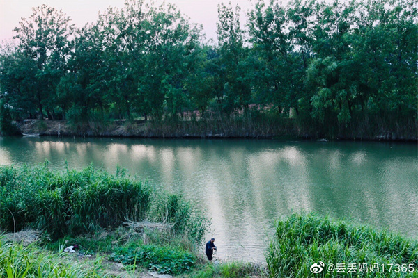 【圖說淮南】——夏日景色