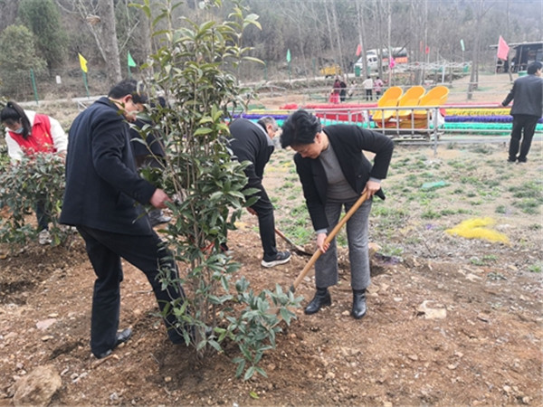 淮南市八公山區(qū)人大常委會機關黨支部黨員活動日開展義務植樹活動