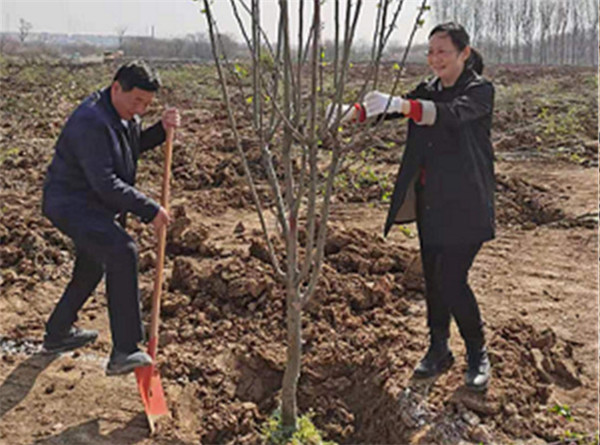 淮南市大通區(qū)紀委積極參與義務植樹活動